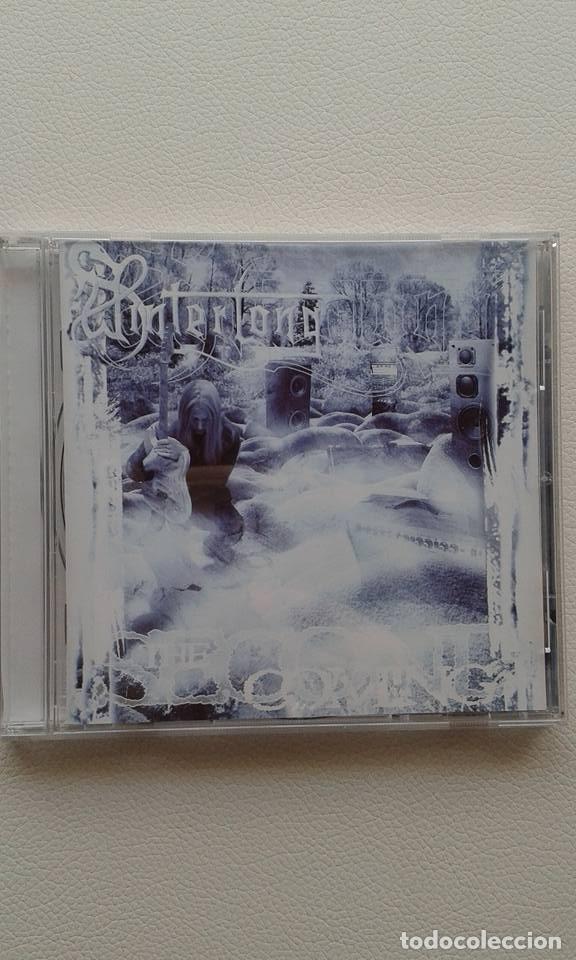 CDs de m&uacute;sica: WINTERLONG - THE SECOND COMING - Foto 1