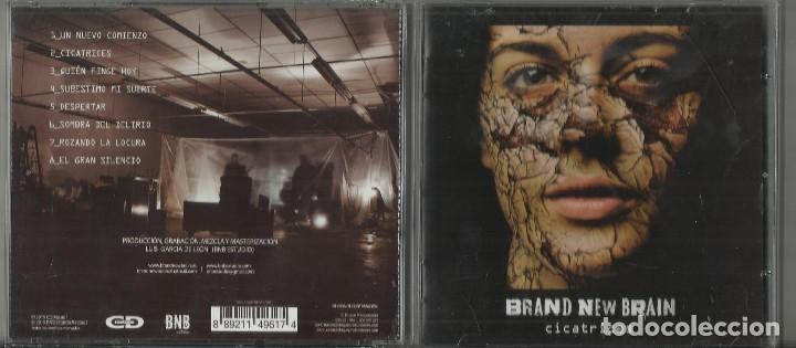 Musik-CDs: Brand New Brain cd Cicatrices 2015
