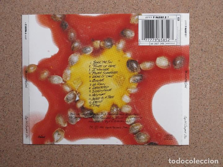CDs de m&uacute;sica: CARATULA DE CD (BLIND MELON - BLIND MELON) - Foto 2