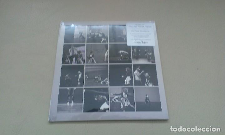 CDs de m&uacute;sica: CD PETER BRODERICK MUSIC FOR FALLING FROM TREES AMBIENT - Foto 1