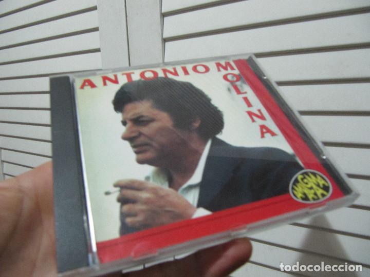 CDs de m&uacute;sica: ANTONIO MOLINA AMALGAMA - Foto 1