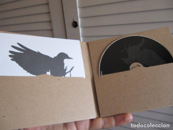 CDs de m&uacute;sica: boat beam paper birds - Foto 2