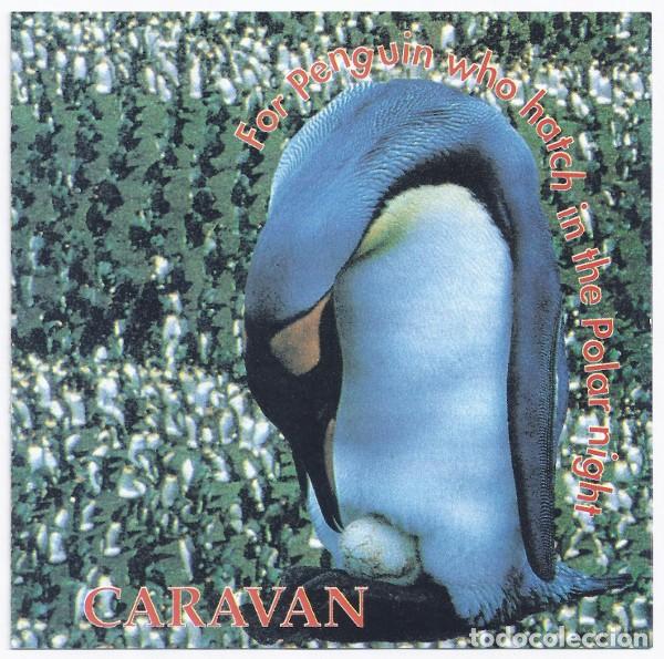 caravan - for penguin who hatch in the polar ni - Buy Cd's of Rock