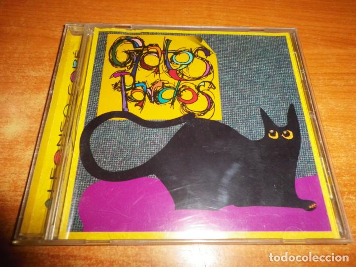 CDs de m&uacute;sica: ALFONSO COPE Gatos pardos CD ALBUM DEL A&Ntilde;O 2007 CONTIENE 5 TEMAS + VIDEO MUSICA INDIE