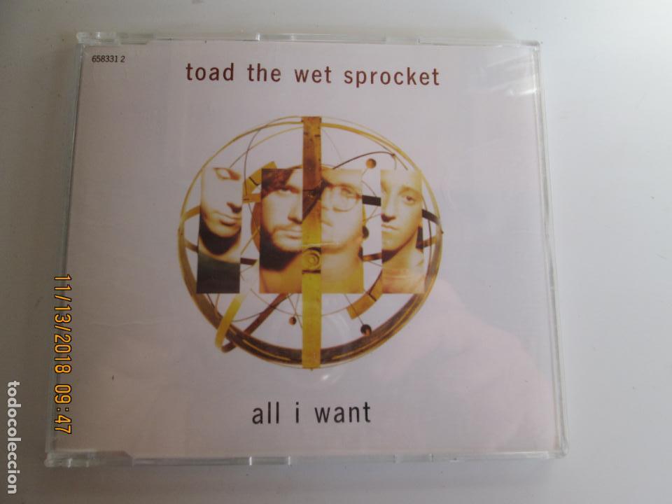 CDs de m&uacute;sica: TOAD THE WET SPROCKET - ALL I WANT - Foto 1