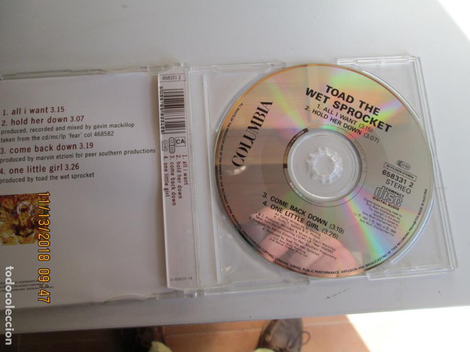 CDs de m&uacute;sica: TOAD THE WET SPROCKET - ALL I WANT - Foto 2