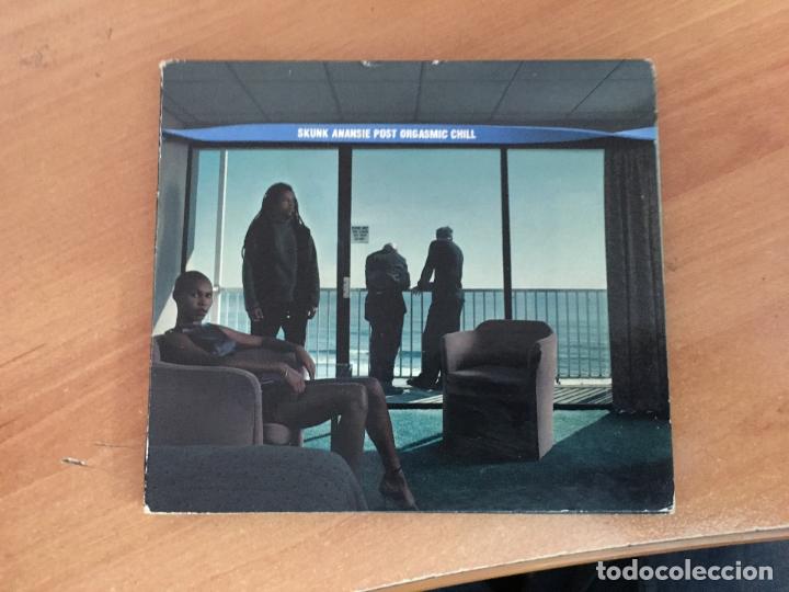 CDs de m&uacute;sica: SKUNK ANANSIE (POST ORGASMIC CHILL) CD 10 TRACK (CDIM3) - Foto 1
