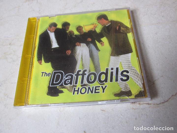 CDs de m&uacute;sica: THE DAFFODILS - HONEY CD - HOT STUFF 1995 - Foto 1