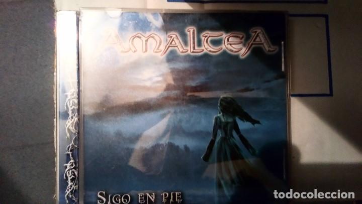 CDs de m&uacute;sica: AMALTEA - Sigo en pie - Foto 1