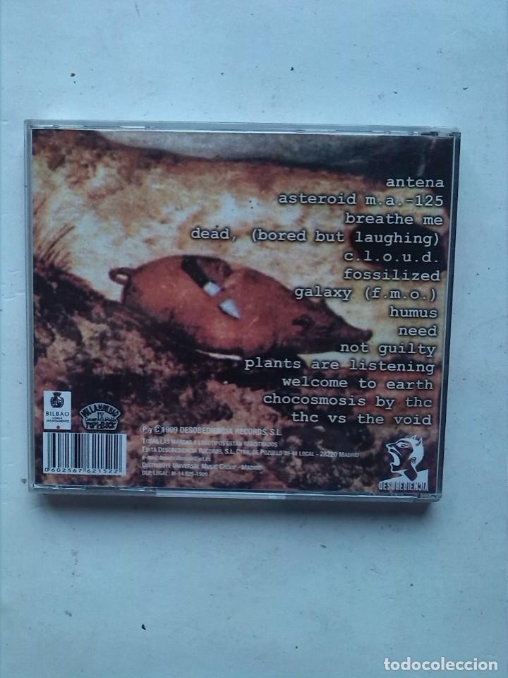 CDs de m&uacute;sica: CHOCOCRISPIS CLOROPHILE? DESOBEDIENCIA - Foto 2