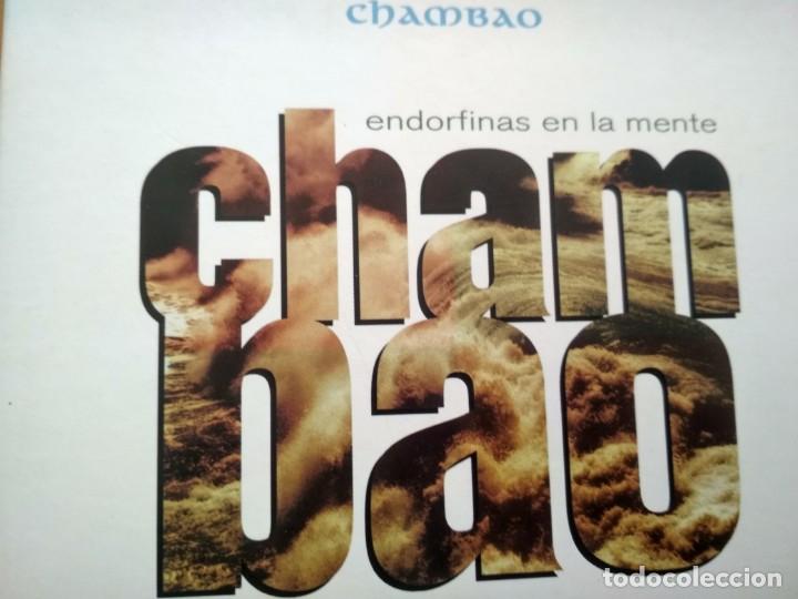 CDs de m&uacute;sica: CHAMBAO ENDORFINAS EN LA MENTE CD - Foto 1