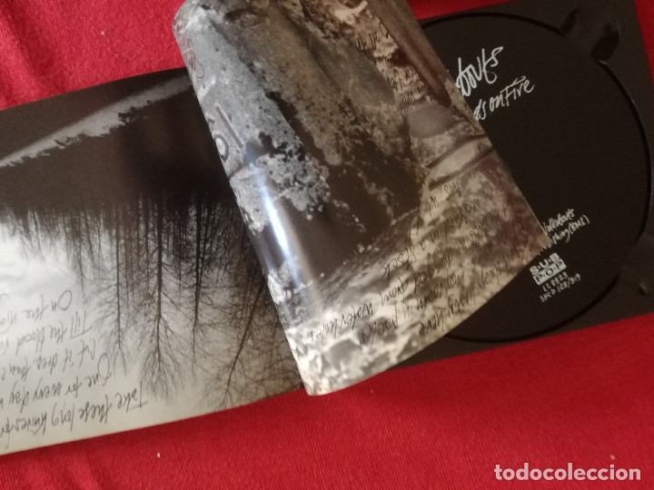 CDs de m&uacute;sica: WALKABOUTS, THE - SETTING THE WOODS ON FIRE - Foto 3