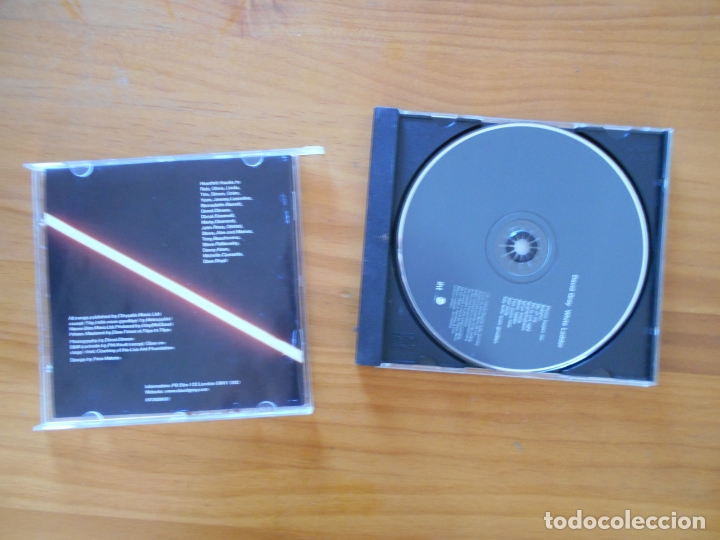 CDs de m&uacute;sica: CD DAVID GRAY - WHITE LADDER (AC) - Foto 2