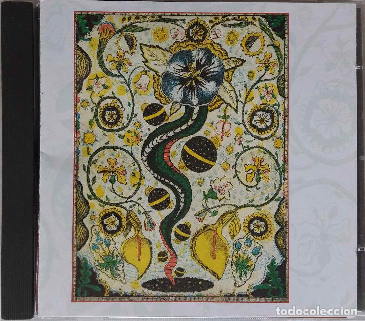 CDs de m&uacute;sica: STEVE EARLE. I FEEL ALRIGHT. CD - Foto 1