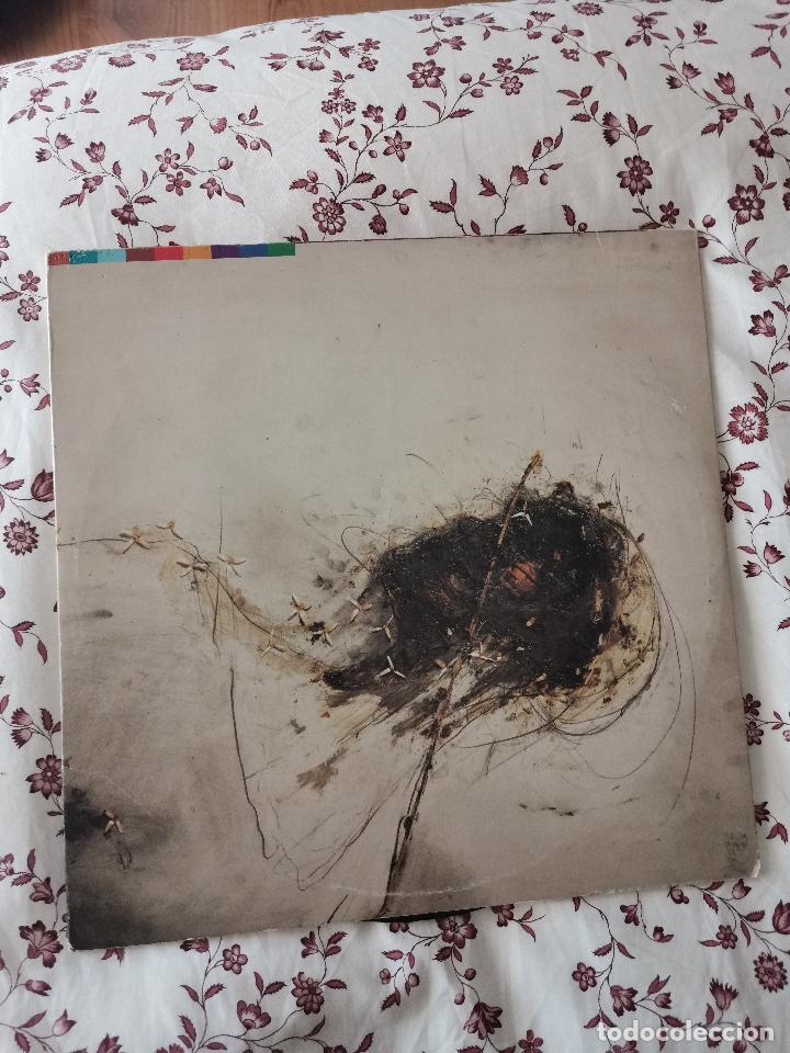 CDs de m&uacute;sica: Vinilo Peter Gabriel - Foto 1
