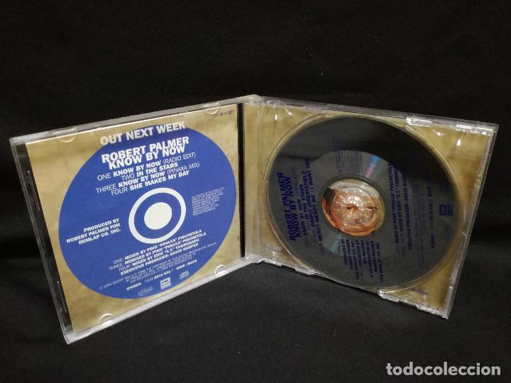 CDs de m&uacute;sica: CD MAXI - ROBERT PALMER - KNOW BY NOW - Foto 2