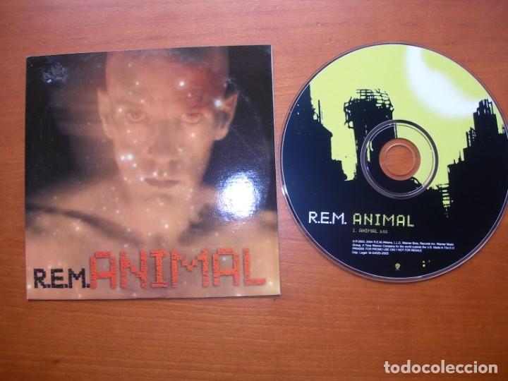 CDs de m&uacute;sica: ANIMAL R.E.M. Cd single - Foto 1