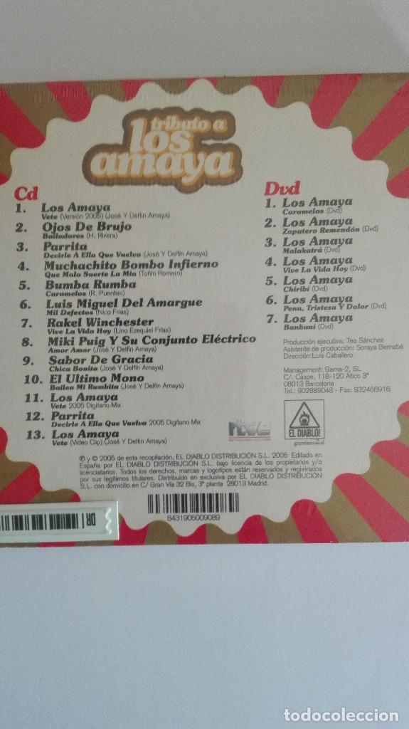 CDs de m&uacute;sica: TRIBUTO A LOS AMAYA CD+DVD NUEVO - Foto 2