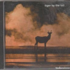CDs de Música: TIGER BY THE TAIL - TIGER BY THE TAIL / CD ALBUM DEL 2006 / MUY BUEN ESTADO RF-6745