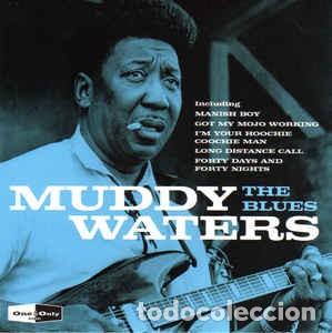 CDs de m&uacute;sica: Muddy Waters &lrm;&ndash; The Blues cd precintado - Foto 1