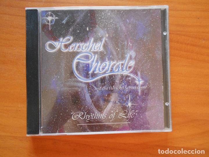 CD di Musica: CD HERSCHEL CHORALE - RHYTHMS OF LIFE (V9)