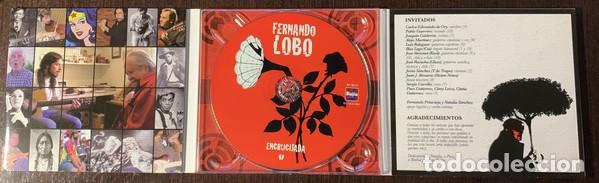 CDs de m&uacute;sica: FERNANDO LOBO - ENCRUCIJADA - CD DIGIPACK - PRECINTADO - Foto 3