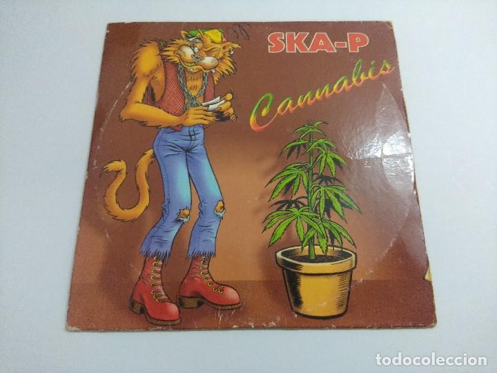 CDs de m&uacute;sica: CD PUNK/SKA-P/CANNABIS/SINGLE. - Foto 1