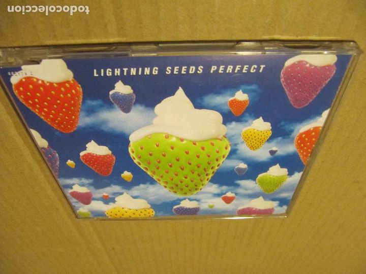 CDs de m&uacute;sica: LIGHTNING SEEDS PERFECT - Foto 1