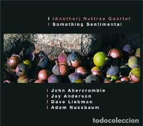 CDs de m&uacute;sica: JOHN ABERCROMBIE Something Sentimental CD - Foto 1
