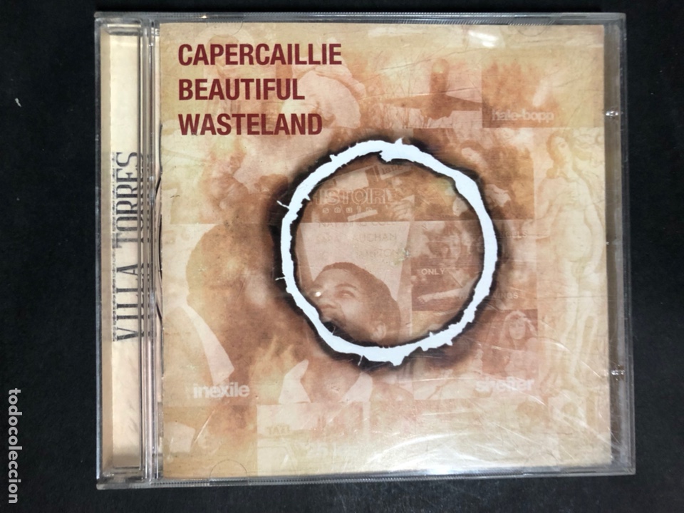 CDs de m&uacute;sica: Cd capercaillie beautiful wasteland - Foto 1
