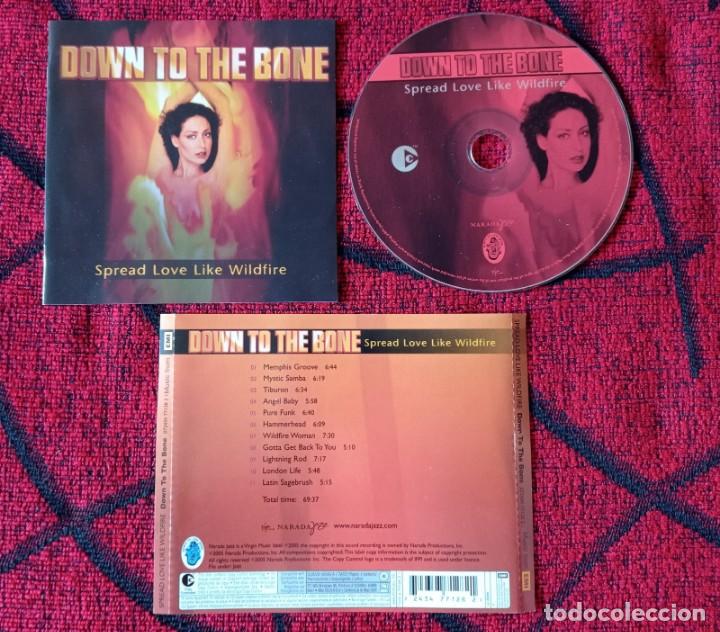 CDs de m&uacute;sica: DOWN TO THE BONE Spread Love Like Wildfire 2005 CD - Foto 1
