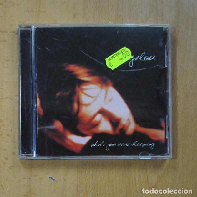 CDs de m&uacute;sica: ANGELOU - WHILE YOU WERE SLEEPING - CD - Foto 1