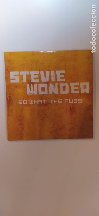 CDs de m&uacute;sica: MAXI CD STEVIE WONDER - Foto 1