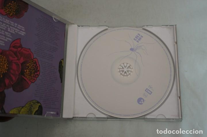 CDs de m&uacute;sica: CD - BEBE - PAFUERA TELARA&Ntilde;AS - Foto 2