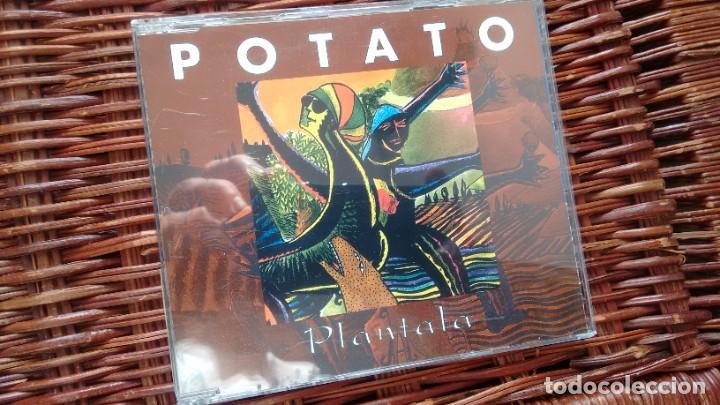 CDs de m&uacute;sica: CD-MAXI -4 TEMAS- ( PROMOCION) DE POTATO - Foto 1