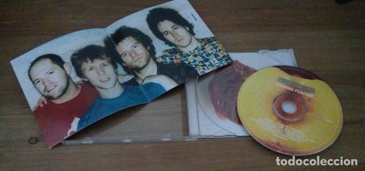 CDs de m&uacute;sica: TERRORVISION - SHAVING PEACHES - CD - CON LIBRETO - 1998 - Foto 3