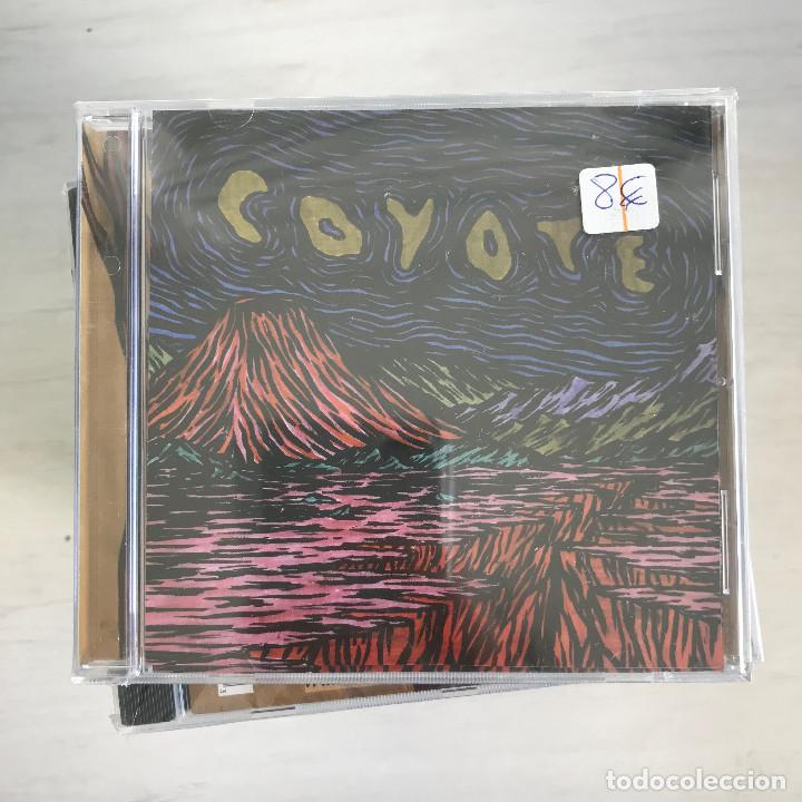 CDs de m&uacute;sica: COYOTE - INSIDES - CD BIRDMAN 2004 NUEVO - Foto 1