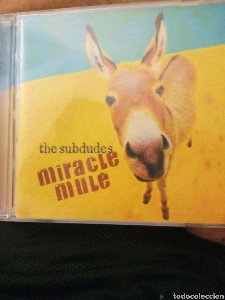CDs de m&uacute;sica: Cd THE SUBDUDES &rdquo; MIRACLE MULE&rdquo; - Foto 1