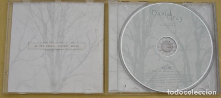 CDs de m&uacute;sica: DAVID GRAY - FOUNDLING (CD) 2010 - 11 TEMAS - Foto 2