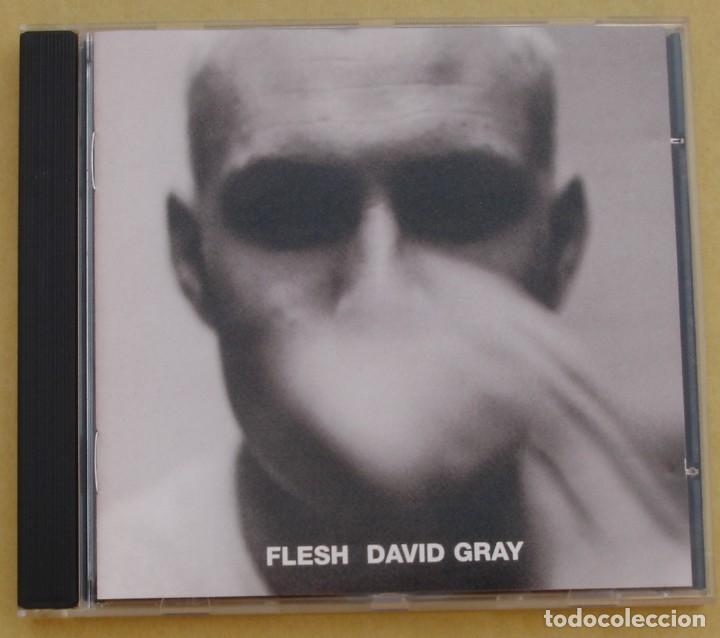 CDs de m&uacute;sica: DAVID GRAY - FLESH (CD) 2001 - 10 TEMAS - Foto 1