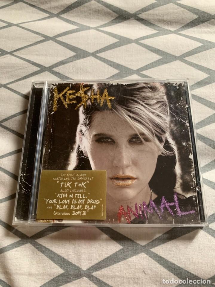 kesha - animal (tik tok / take it off album) - Acheter CDs de Musique Pop  dans todocoleccion - 148653638
