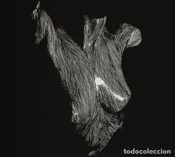 CDs de m&uacute;sica: OCEANSIZE CD SELF PRESERVED WHILE THE BODIES FLOAT UP NUEVO ROCK PROGRESIVO - Foto 1