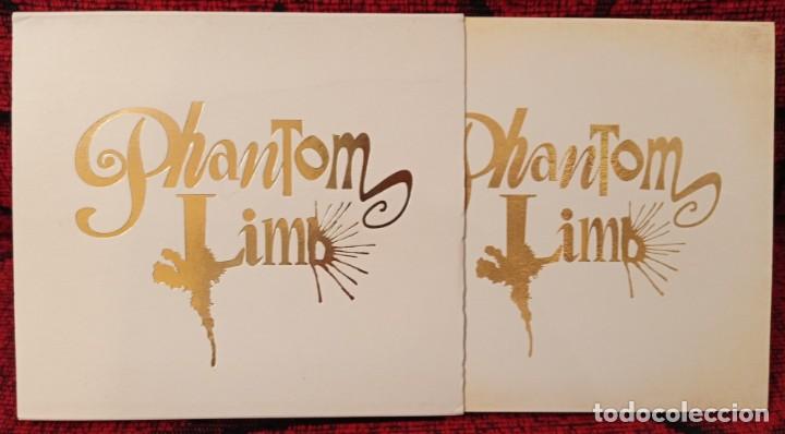 CDs de m&uacute;sica: Phantom Limb 2009 UK CD - Foto 1