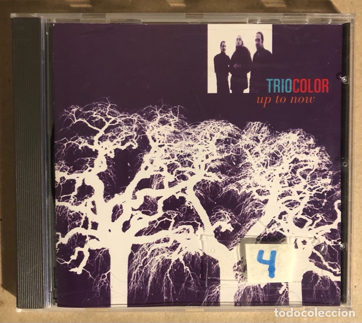 CD di Musica: TRIOCOLOR &ldquo;UP TO NOTE&rdquo; (1994). CD. JAZZ.