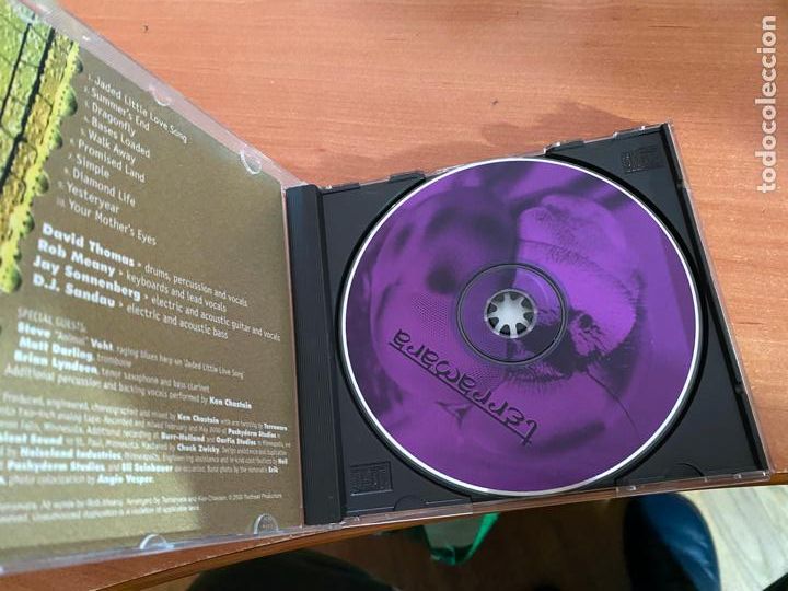 CDs de m&uacute;sica: TERRAMARA (TERRAMARA) CD 10 CANCIONES (CDIB21) - Foto 2