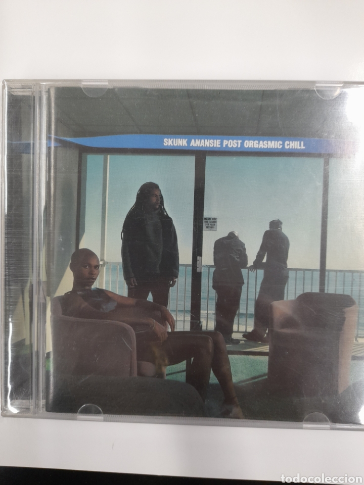 CDs de m&uacute;sica: SKUNK ANANSIE POST ORGASMIC CHILL. - Foto 1