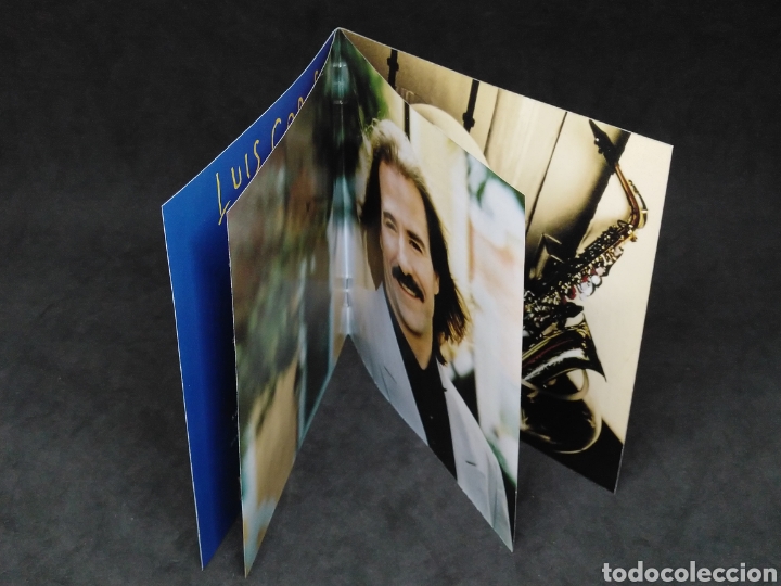 CDs de m&uacute;sica: LUIS COBOS - VIENTO DEL SUR - 1993 - CD - DISCO VERIFICADO - Foto 5