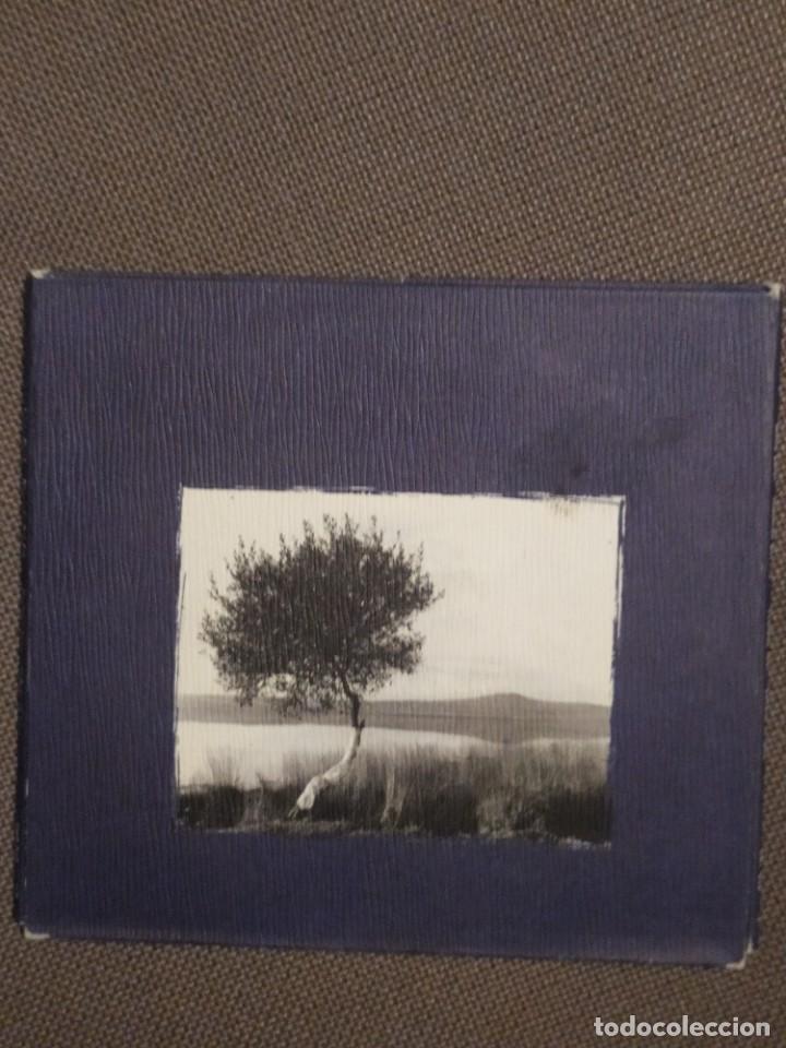 CDs de Musique: Annie Ebrel, Riccardo Del Fra &ndash; Voulouz Loar Velluto Di Luna , JAZZ CELTA, 1998