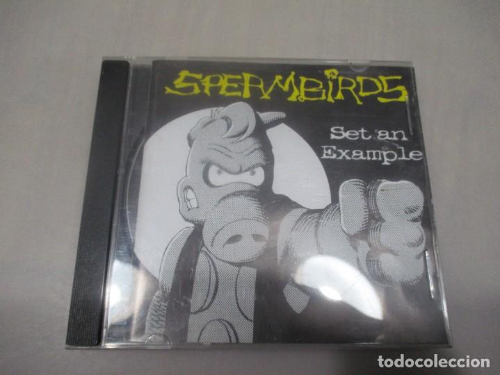 CDs de m&uacute;sica: SPER MEIRDS Set an example DI3088 - Foto 1