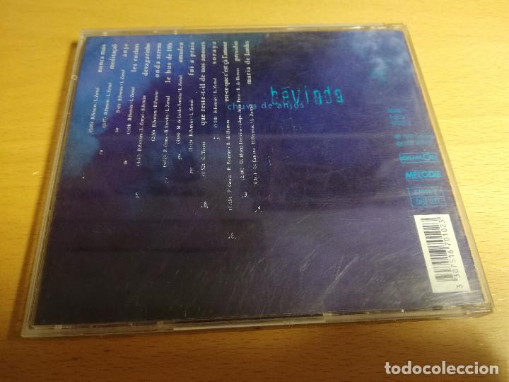 CDs de m&uacute;sica: BEVINDA. CHUVA DE ANJOS (CD) - Foto 3